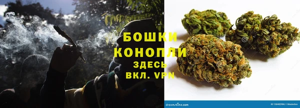 стаф Богданович