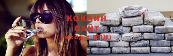 стаф Богданович