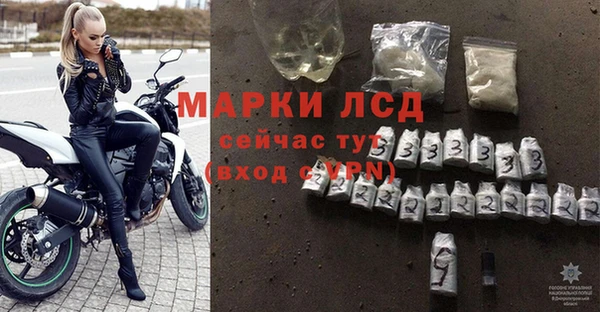 стаф Богданович