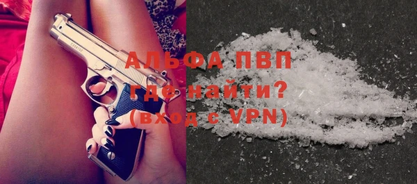 стаф Богданович