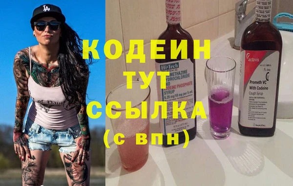 стаф Богданович