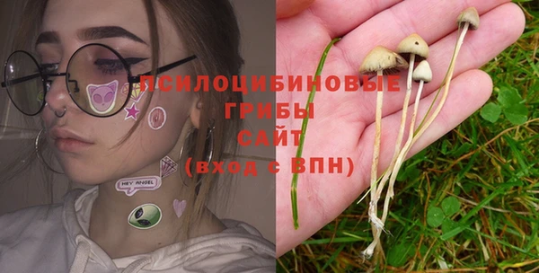стаф Богданович