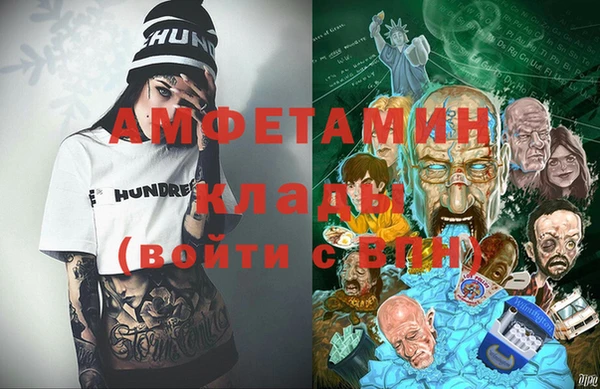 стаф Богданович