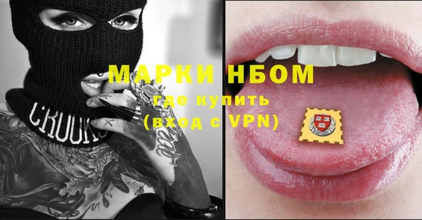 стаф Богданович
