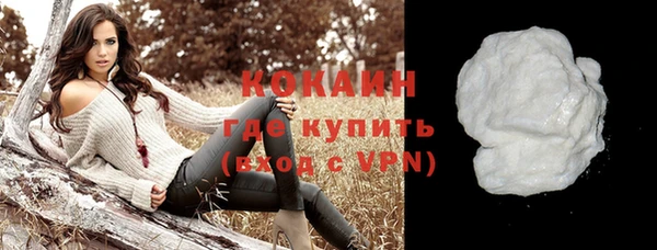 стаф Богданович