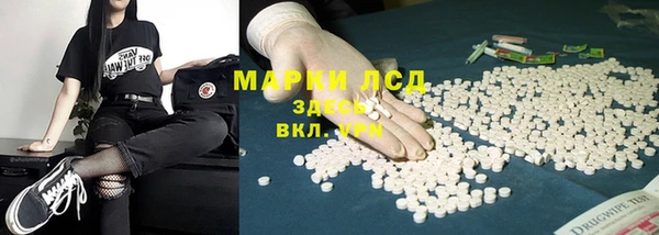 стаф Богданович