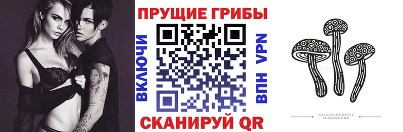 Псилоцибиновые грибы MAGIC MUSHROOMS Донецк